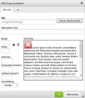 CKEditor Fehler.jpg