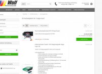 mega macs Suchergebnis.JPG