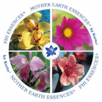 PHI Essences Logo - Frei.png