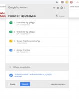 Google Tag Assistant-2.jpg