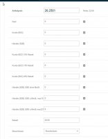 BUERO13_Greenshot_2021-05-04 15_58_31-Window.jpg