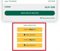 paypal-doppelt.jpg