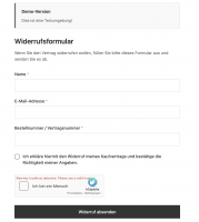 Frontend_Form.png