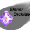 ElsnerOrchideen